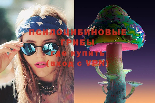 ешки Абинск