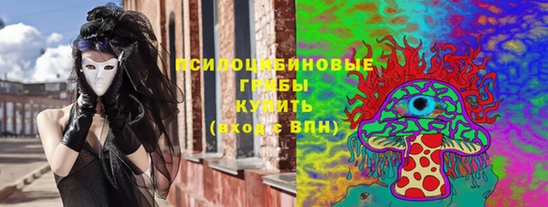 ешки Абинск